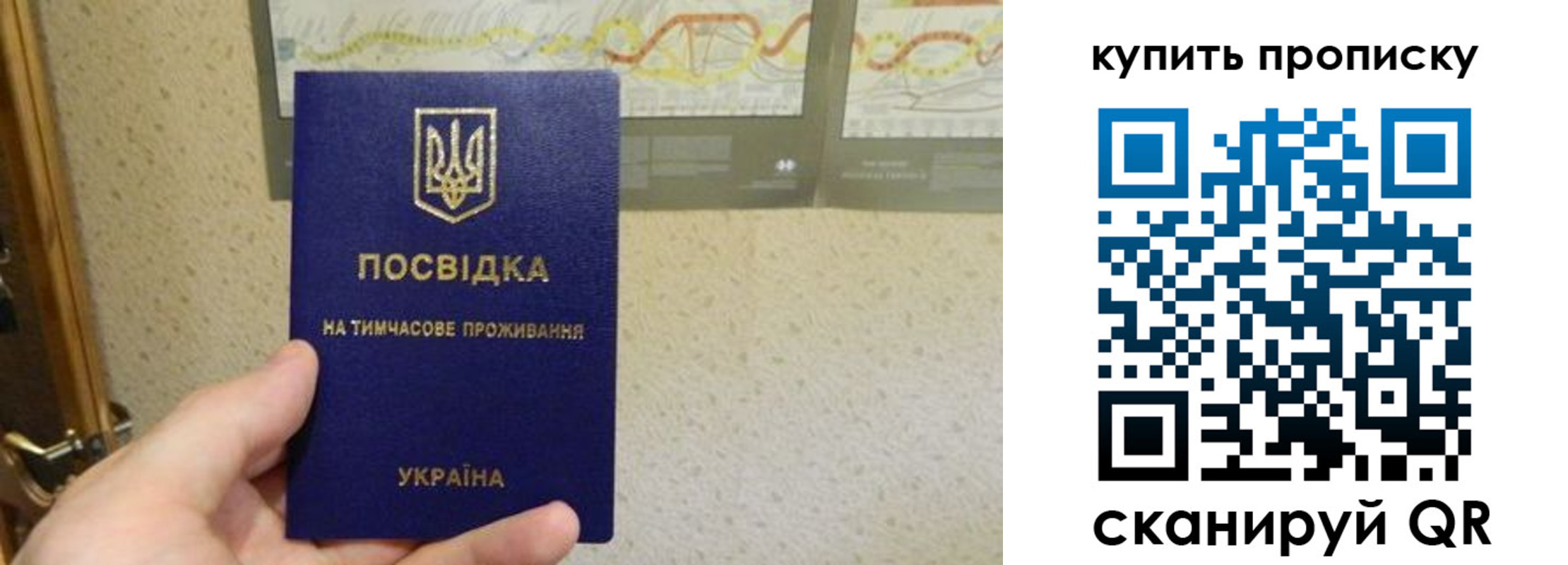 временная регистрация поиск в Сосновоборске